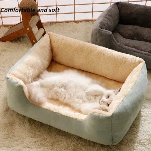 Cute Bed for Cats